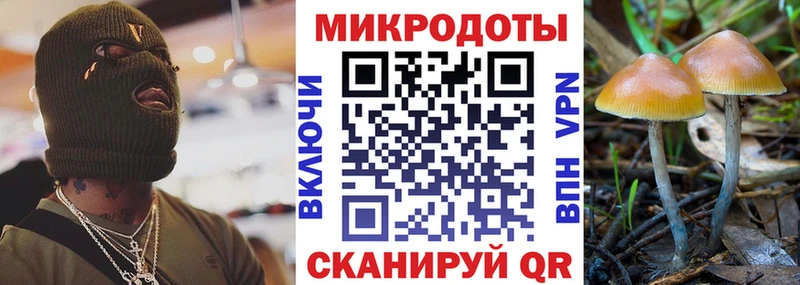 Галлюциногенные грибы Magic Shrooms  omg сайт  Бавлы 